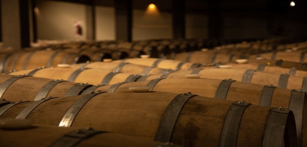 ATTUALITÀ VINICOLA - ATTIVAZIONE INTERVENTO DELLA VENDEMMIA VERDE